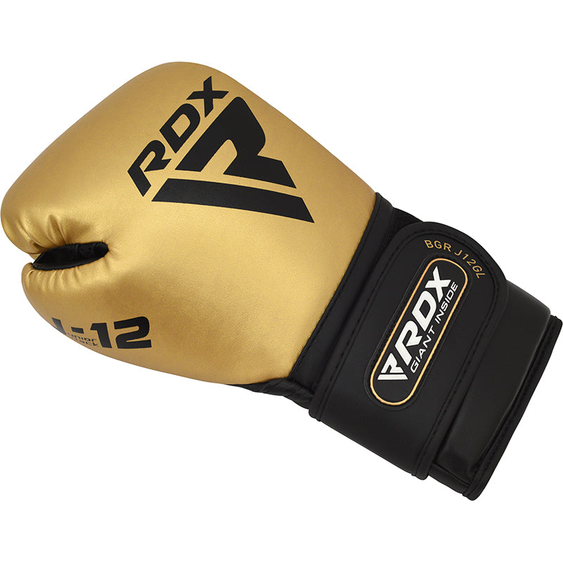 RDX J12 KIDS 6oz Boxing Gloves & Focus Pads Set#color_golden